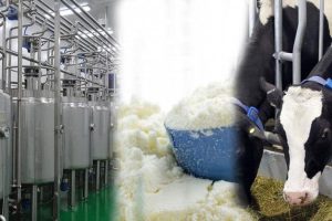 milk powder suppliers in Iran